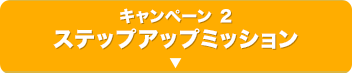 キャンペーン2 ステップアップミッション！