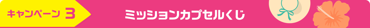 キャンペーン３ ミッションカプセルくじ