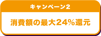 キャンペーン2 消費額の最大24％還元